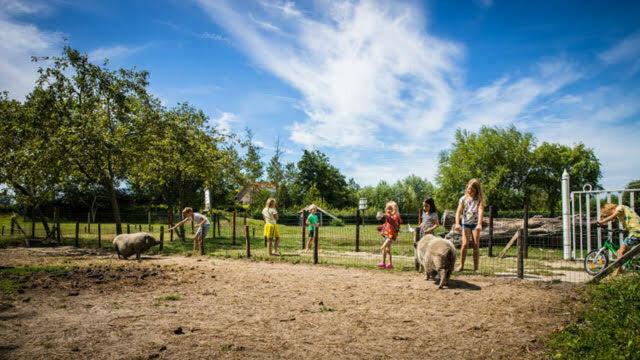 Vakantiewoning - Kon. Emmaweg 26 | Vrouwenpolder 'Uitspanning Oranjezon' Dış mekan fotoğraf